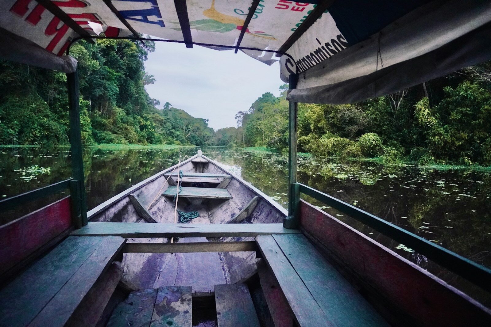 Boating through a lush, green amazon river