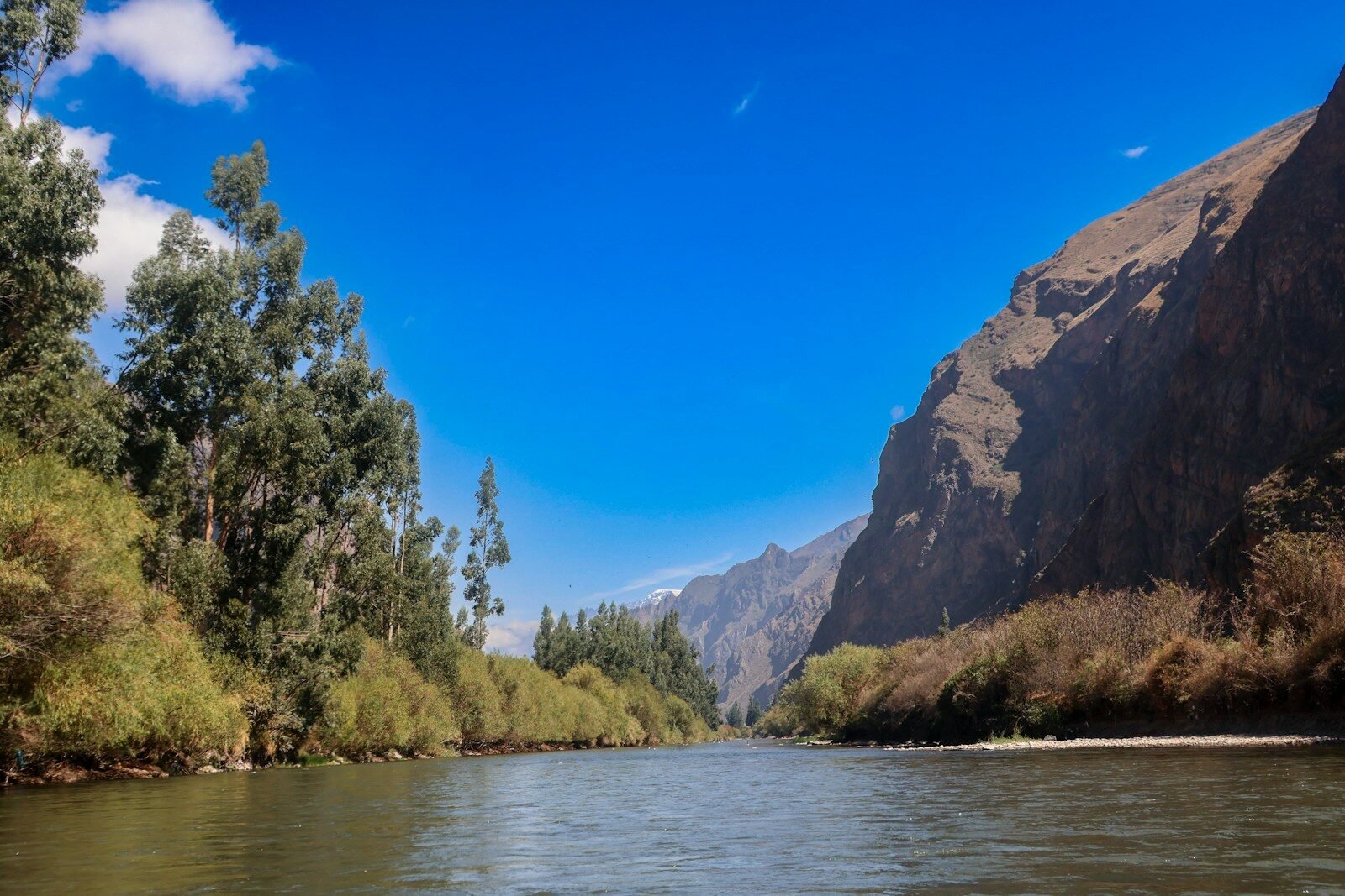 A river with a mountain in the background